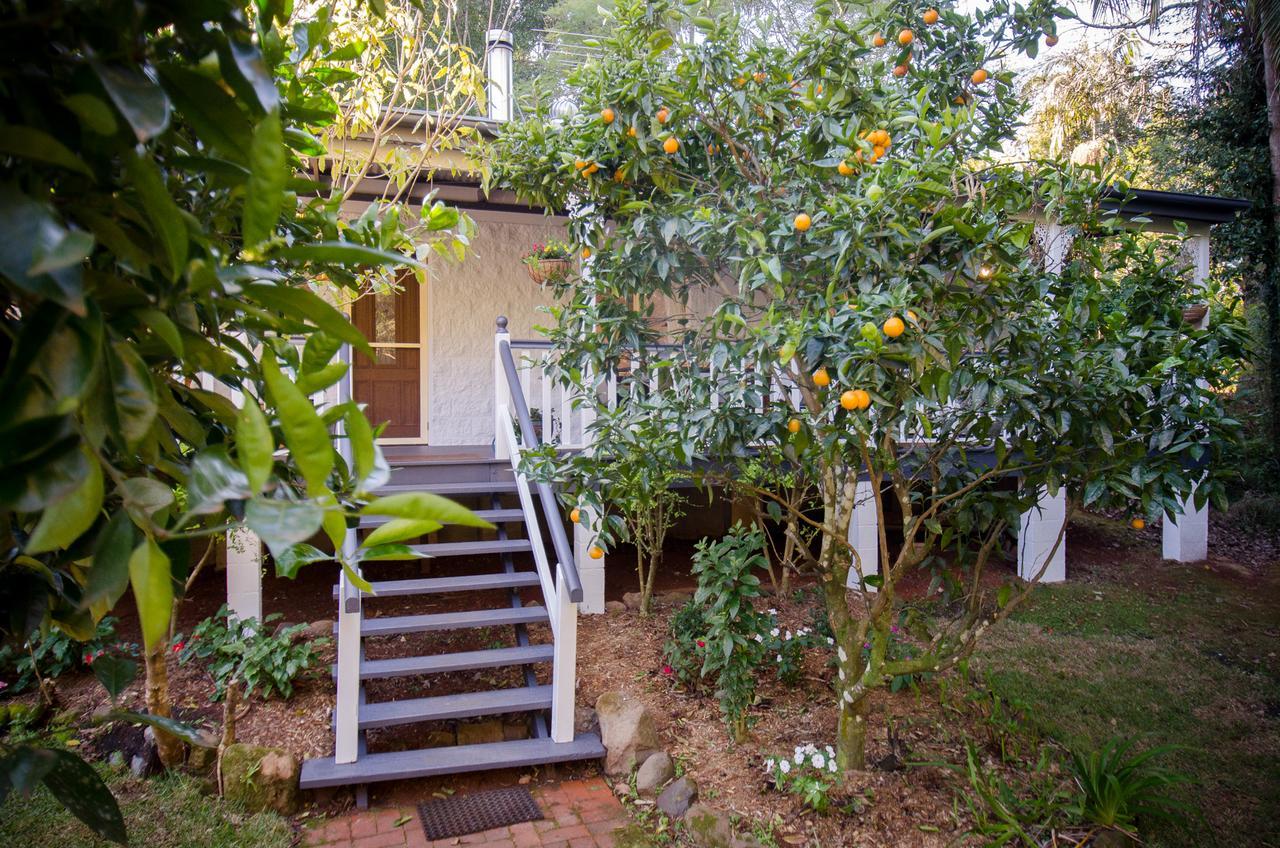 Kidd Street Cottages Tamborine Mountain Exterior photo